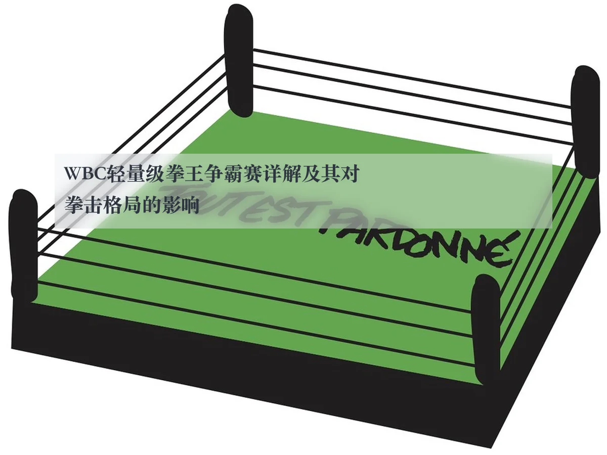 WBC轻量级拳王争霸赛详解及其对拳击格局的影响 | AYX